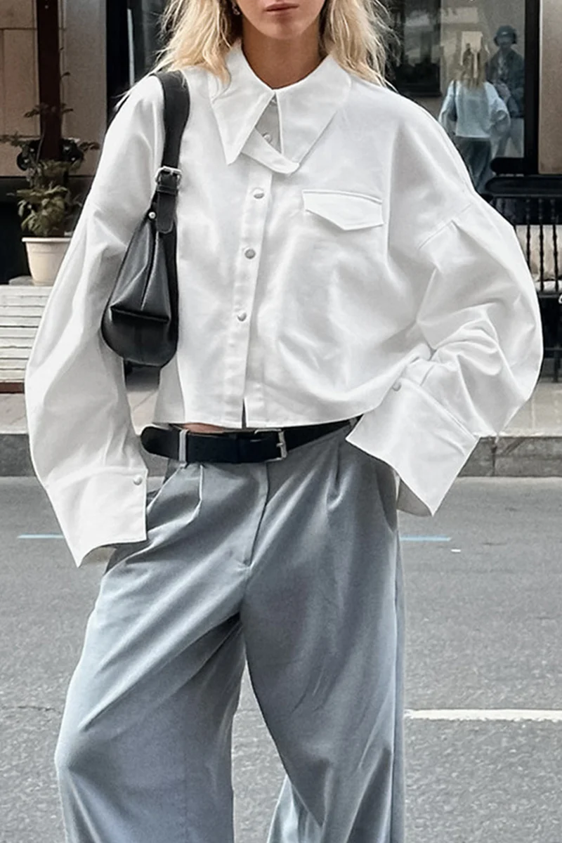 Casual Daily Buttons Turndown Collar Blouses - Panekey